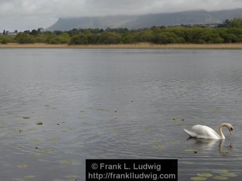 Lough Gill